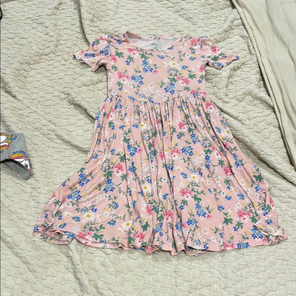 Posh Peanut Pink and Blue Smocked Sundress
